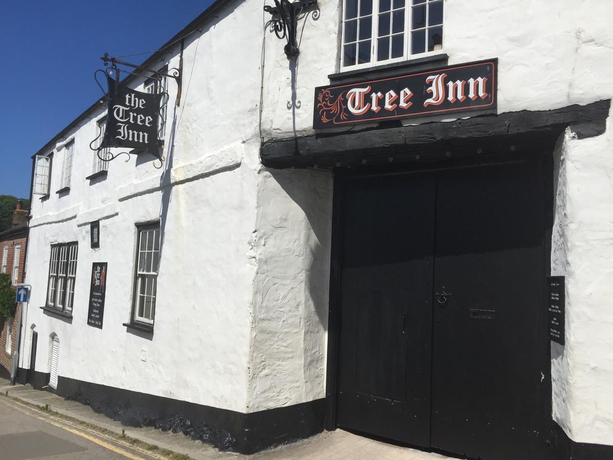 ביוד The Tree Inn מראה חיצוני תמונה